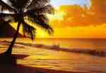 Pacific Sunset Pacific Sunset