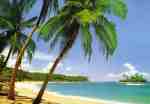 Ile Tropicale Ile Tropicale