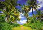 Island in the Sun Island in the Sun