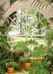 Winter Garden