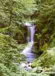 Waterfall in Spring