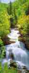 Wonderfall