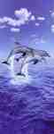 Three Dolphins Three Dolphins