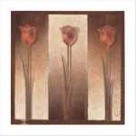 Three Tulips