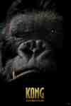 KONG (155)