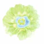 Fleur Verte