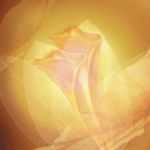 Transparence 4