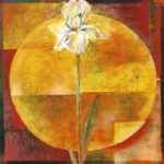 White Iris