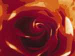 Rose Variation 2