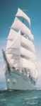 Sailing boat