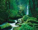 Black Forest