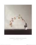Orchids, 1982