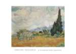 A Cornfield with Cypresses
