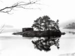 The Island