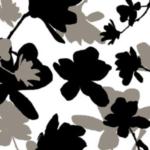 Magnolia Composition 2