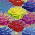 Rose Composition 2
