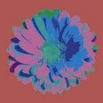 Flower 2
