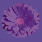 Flower 3