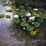 Waterlilies 2