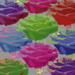 Rose Composition 1