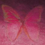 Red Butterfly