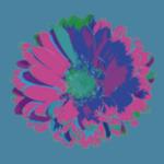 Flower 1
