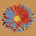 Flower 4