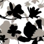 Magnolia Composition 1