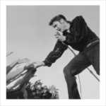 Elvis