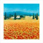 Farm near Montefiorale