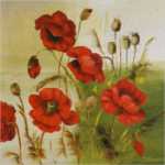 Red Poppies Composition I