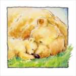 Mother Bear&prime;s Love II