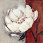 Spice Bloom I