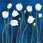 Tulipani danzanti