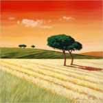 Campo al tramonto