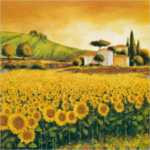 Valley of Sunflowers