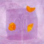 Coquelicot