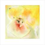 Yellow Bloom