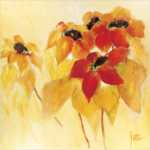 Sunshiny I