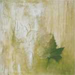Feuille D&prime;�rable Verte