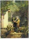 Der Kaktusfreund