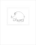 The pig