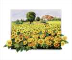 Field with Sunflowers