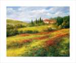 Landschaft mit Mohn I