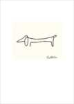 The Dog
