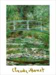 Lo stagno delle ninfee
