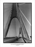 The Bridge