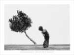 The Tree