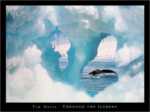 Through the Iceberg