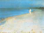 Summer evening